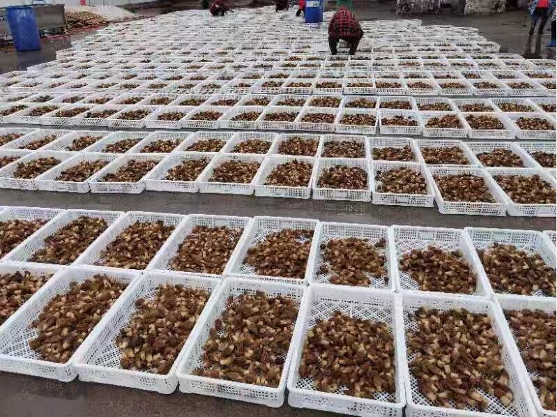 &#31859;&#20848;&#24179;&#21488;&#45;&#31859;&#20848;&#40;&#20013;&#22269;&#41;