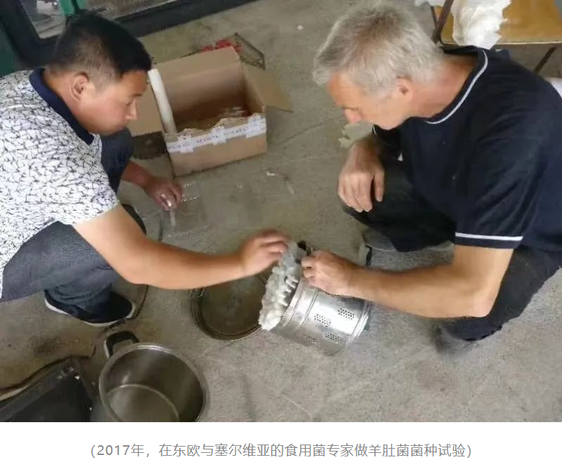 &#31859;&#20848;&#24179;&#21488;&#45;&#31859;&#20848;&#40;&#20013;&#22269;&#41;