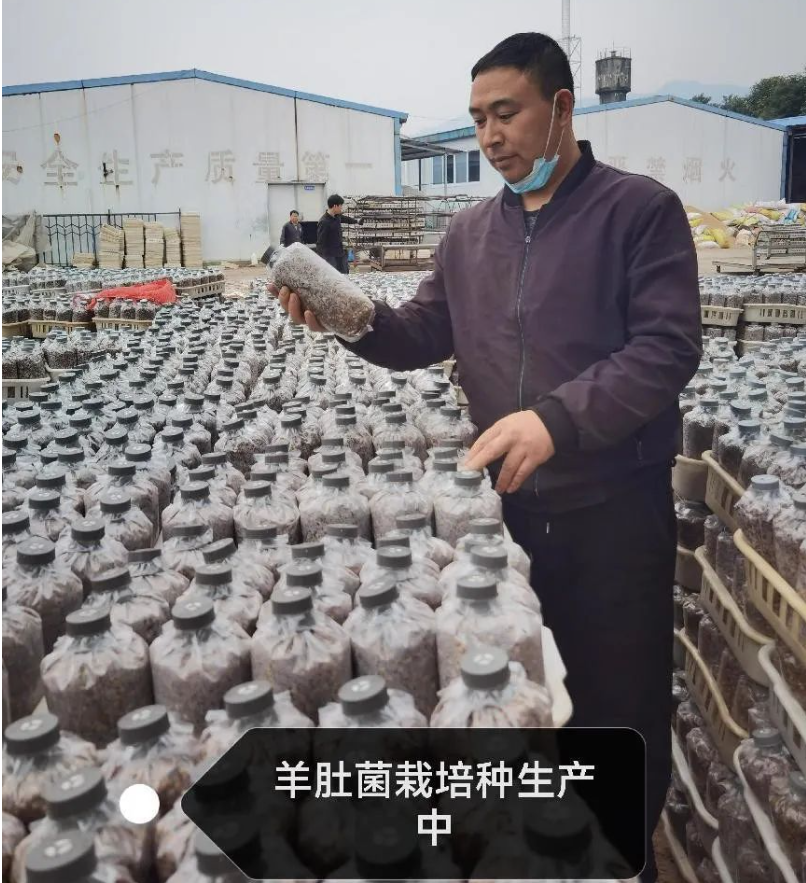 &#31859;&#20848;&#24179;&#21488;&#45;&#31859;&#20848;&#40;&#20013;&#22269;&#41;
