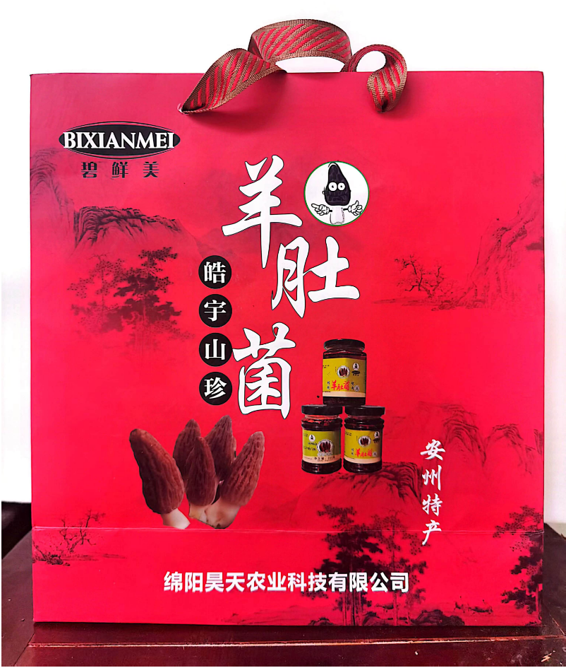 &#31859;&#20848;&#24179;&#21488;&#45;&#31859;&#20848;&#40;&#20013;&#22269;&#41;